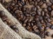 Obrazek Etiopia  Djimmah Grade 5 | Arabica | Kawa ziarnista