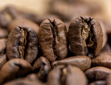 Pokaż szczegóły dla Brazylia Fazenda Lagoa | Arabica | Kawa ziarnista Obrazek Brazylia Fazenda Lagoa | Arabica | Kawa ziarnista