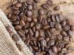 Obrazek Kostaryka Tarrazu SHB | Arabica | Kawa ziarnista