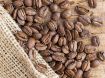 Obrazek Hawaii Kona Extra Fancy | Arabica | Kawa ziarnista