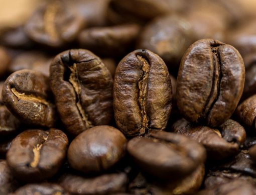 Obrazek Kongo Kivu Grade 4 | Arabica | Kawa ziarnista