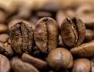 Obrazek India Mysore Nugget Extra Bold | Arabica | Kawa ziarnista