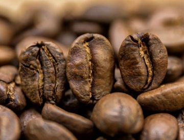 Pokaż szczegóły dla India Mysore Nugget Extra Bold | Arabica | Kawa ziarnista Obrazek India Mysore Nugget Extra Bold | Arabica | Kawa ziarnista