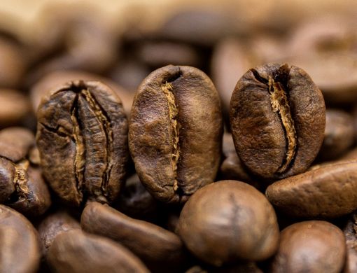 Obrazek India Mysore Nugget Extra Bold | Arabica | Kawa ziarnista