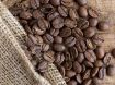 Obrazek India Mysore Nugget Extra Bold | Arabica | Kawa ziarnista
