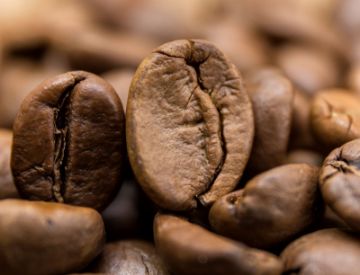 Pokaż szczegóły dla India Monsooned Malabar AA | Arabica | Kawa ziarnista Obrazek India Monsooned Malabar AA | Arabica | Kawa ziarnista