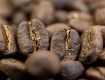 Obrazek Tanzania AA Ngila Estate | Arabica | Kawa ziarnista