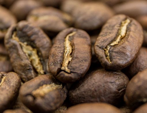 Obrazek Peru SHB | Arabica | Kawa ziarnista
