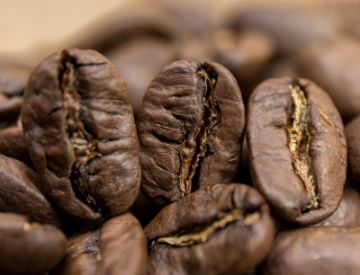 Pokaż szczegóły dla Nikaragua Maragogype Superior | Arabica | Kawa ziarnista Obrazek Nikaragua Maragogype Superior | Arabica | Kawa ziarnista