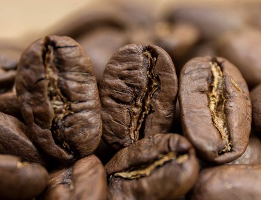 Obrazek Nikaragua Maragogype Superior | Arabica | Kawa ziarnista