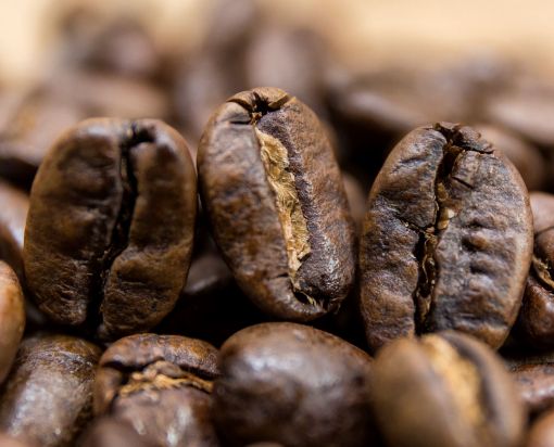 Obrazek Indonezja  Sulawesi Toraja Grade 1 | Arabica | Kawa ziarnista