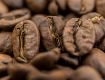 Obrazek Jemen Mocha Matari | Arabica | Kawa ziarnista