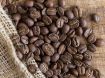 Obrazek Nikaragua  Jinotega SHG | Arabica | Kawa ziarnista