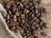 Obrazek Indonezja  Sulawesi Kalosi Grade 1 | Arabica | Kawa ziarnista