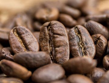 Pokaż szczegóły dla Gwatemala SHB Antigua | Arabica | Kawa ziarnista Obrazek Gwatemala SHB Antigua | Arabica | Kawa ziarnista