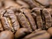 Obrazek Peru Tropical Mountains BIO | Arabica | Kawa ziarnista