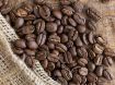 Obrazek Peru Tropical Mountains BIO | Arabica | Kawa ziarnista