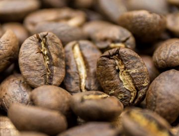 Pokaż szczegóły dla Zimbabwe AA Plus | Arabica | Kawa ziarnista Obrazek Zimbabwe AA Plus | Arabica | Kawa ziarnista