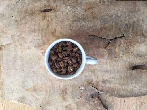Obrazek Kopi luwak | Arabica | Kawa ziarnista