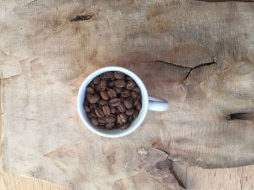 Pokaż szczegóły dla Galapagos Organic | Arabica | Kawa ziarnista Obrazek Galapagos Organic | Arabica | Kawa ziarnista