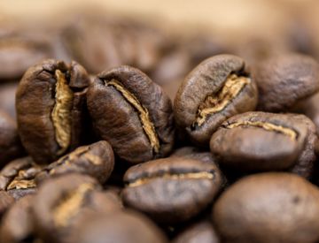 Pokaż szczegóły dla Kenia AB Plus Organic | Arabica | Kawa ziarnista Obrazek Kenia AB Plus Organic | Arabica | Kawa ziarnista