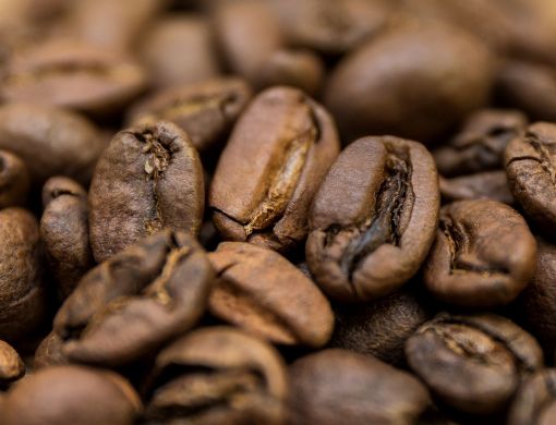 Obrazek Etiopia Bonga Forest BIO | Arabica | Kawa ziarnista