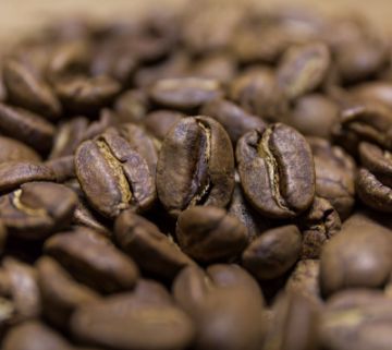 Pokaż szczegóły dla Gwatemala SHB Finca Bremen Organic | Arabica | Kawa ziarnista Obrazek Gwatemala SHB Finca Bremen Organic | Arabica | Kawa ziarnista