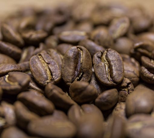 Obrazek Gwatemala SHB Finca Bremen Organic | Arabica | Kawa ziarnista